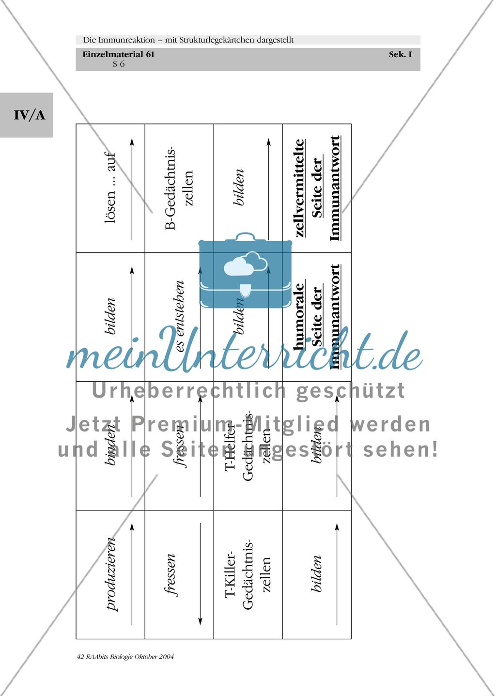 Die Immunreaktion – mit Strukturlegekärtchen dargestellt Preview 7