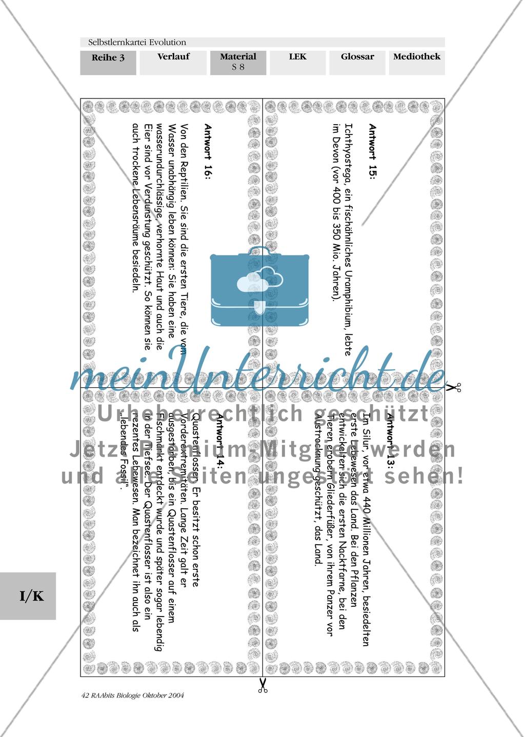 Selbstlernkartei Evolution Preview 12