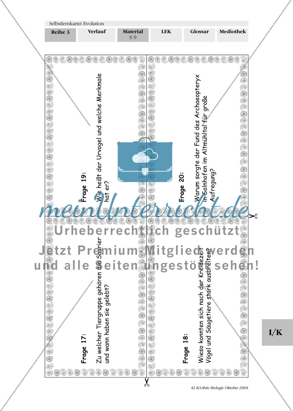 Selbstlernkartei Evolution Preview 13