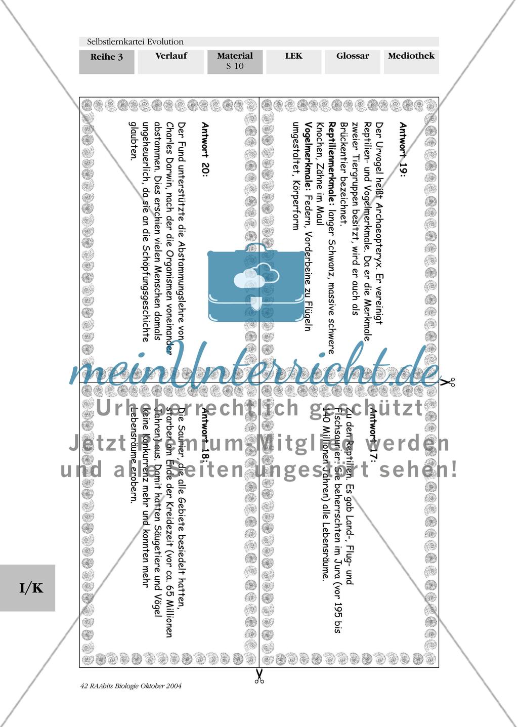Selbstlernkartei Evolution Preview 14