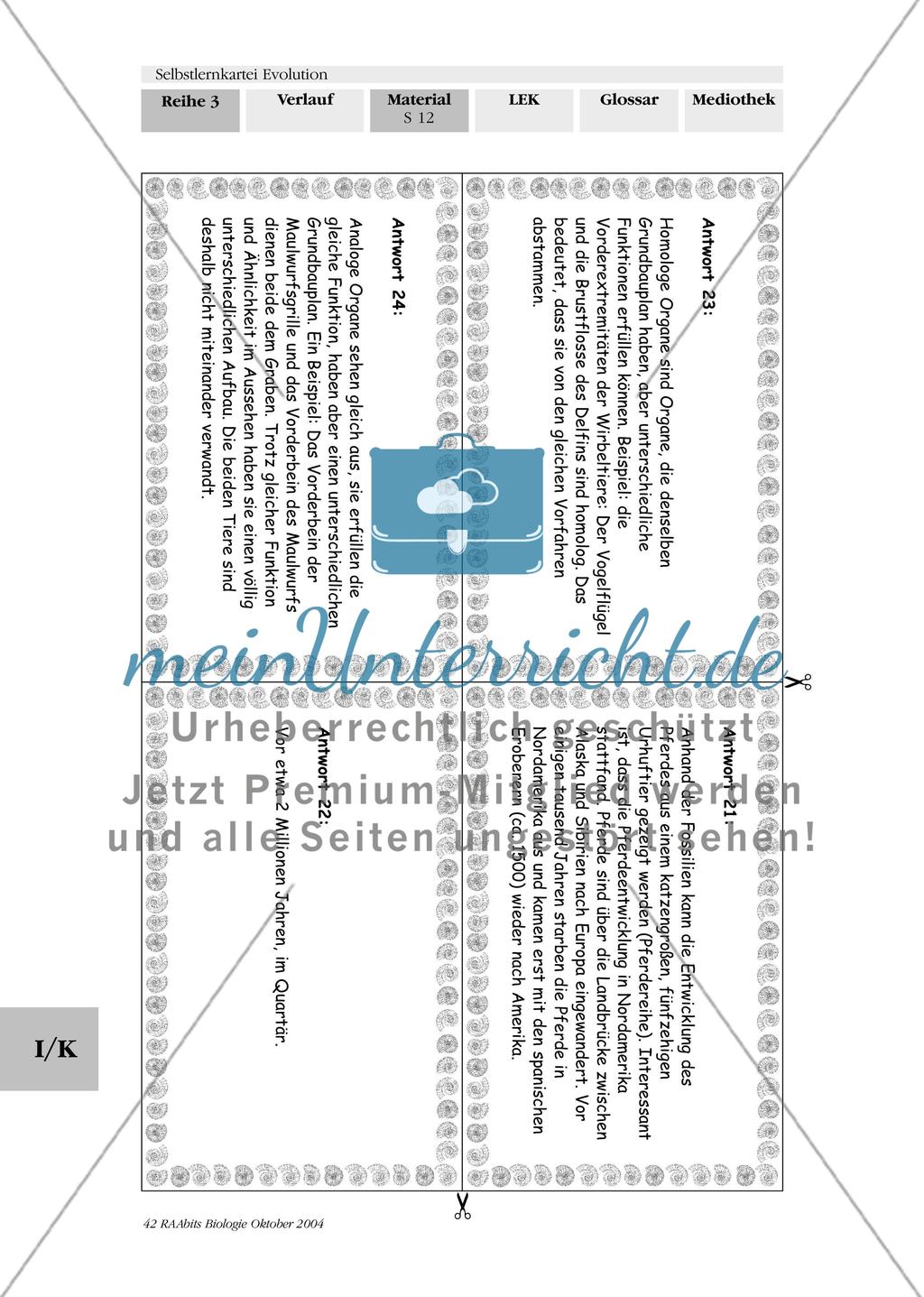 Selbstlernkartei Evolution Preview 16