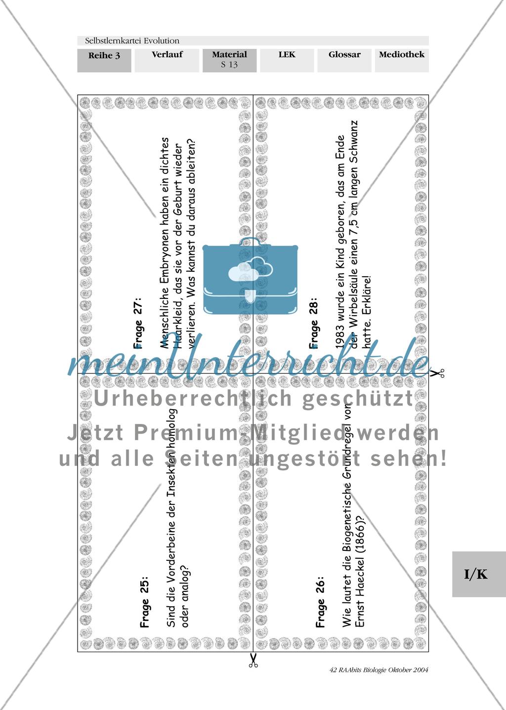 Selbstlernkartei Evolution Preview 17