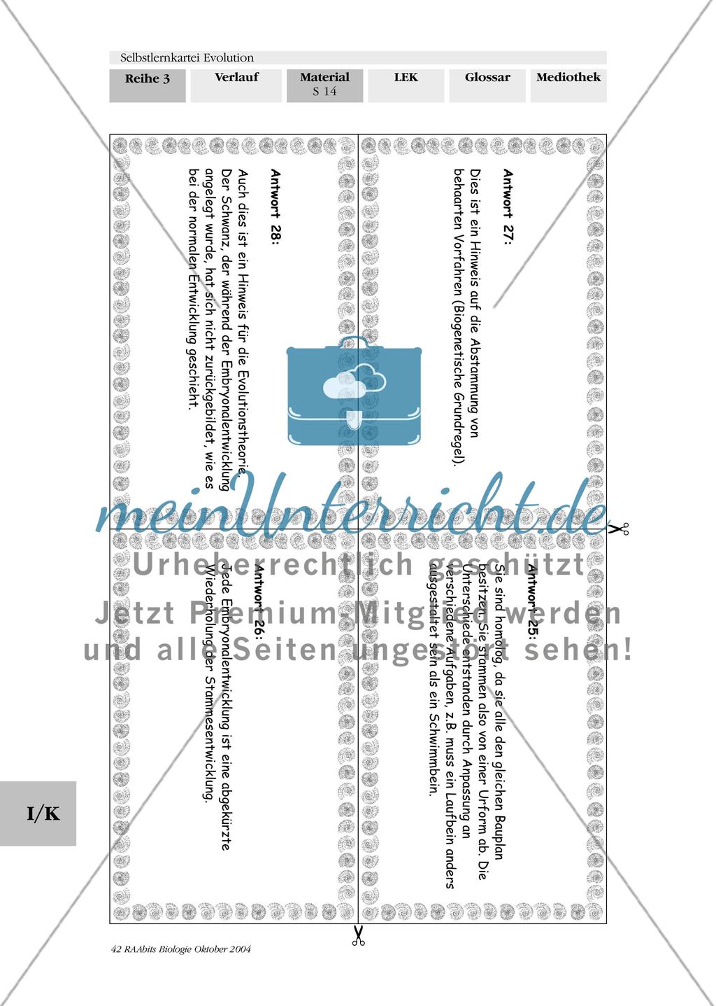 Selbstlernkartei Evolution Preview 18