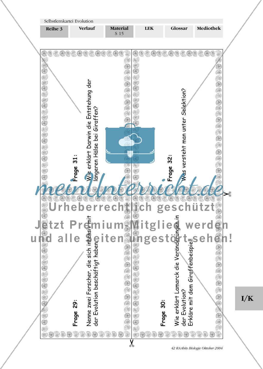 Selbstlernkartei Evolution Preview 19