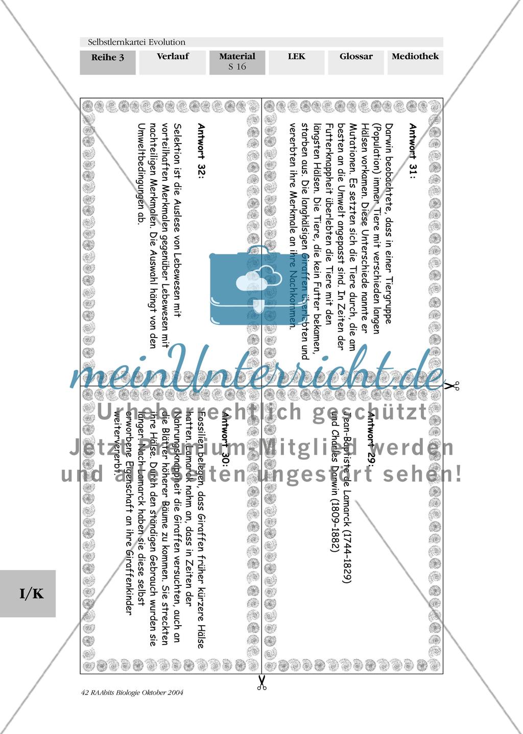 Selbstlernkartei Evolution Preview 20
