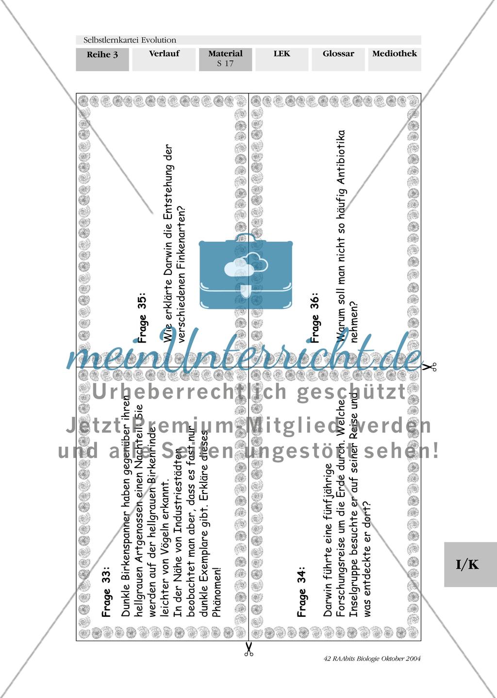 Selbstlernkartei Evolution Preview 21
