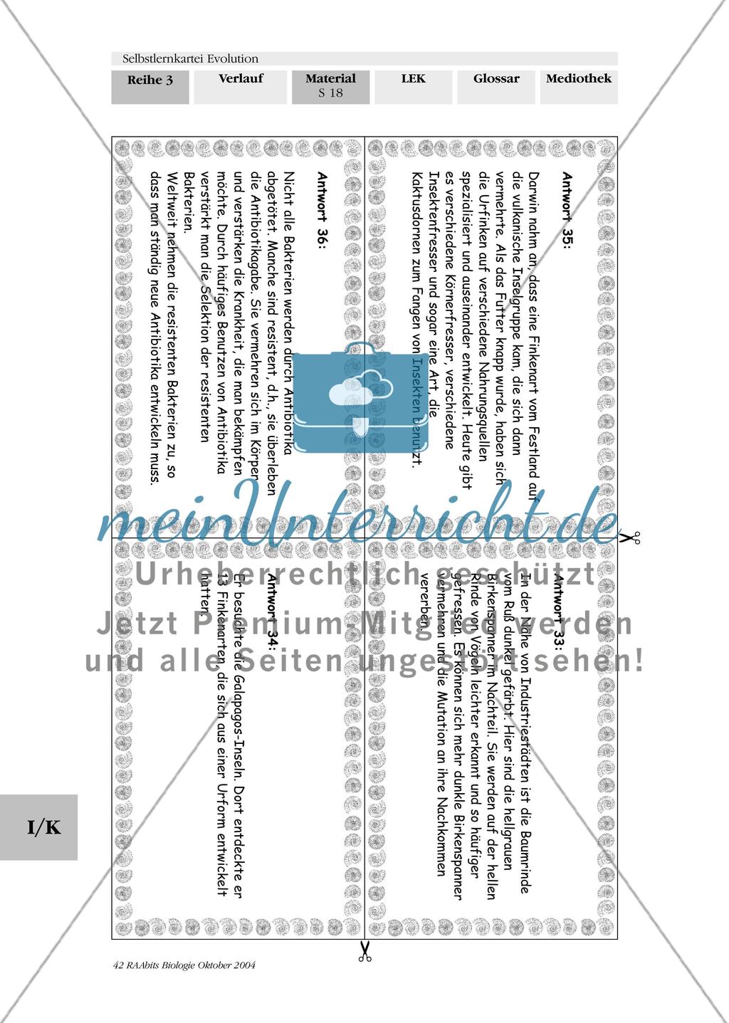 Selbstlernkartei Evolution Preview 22
