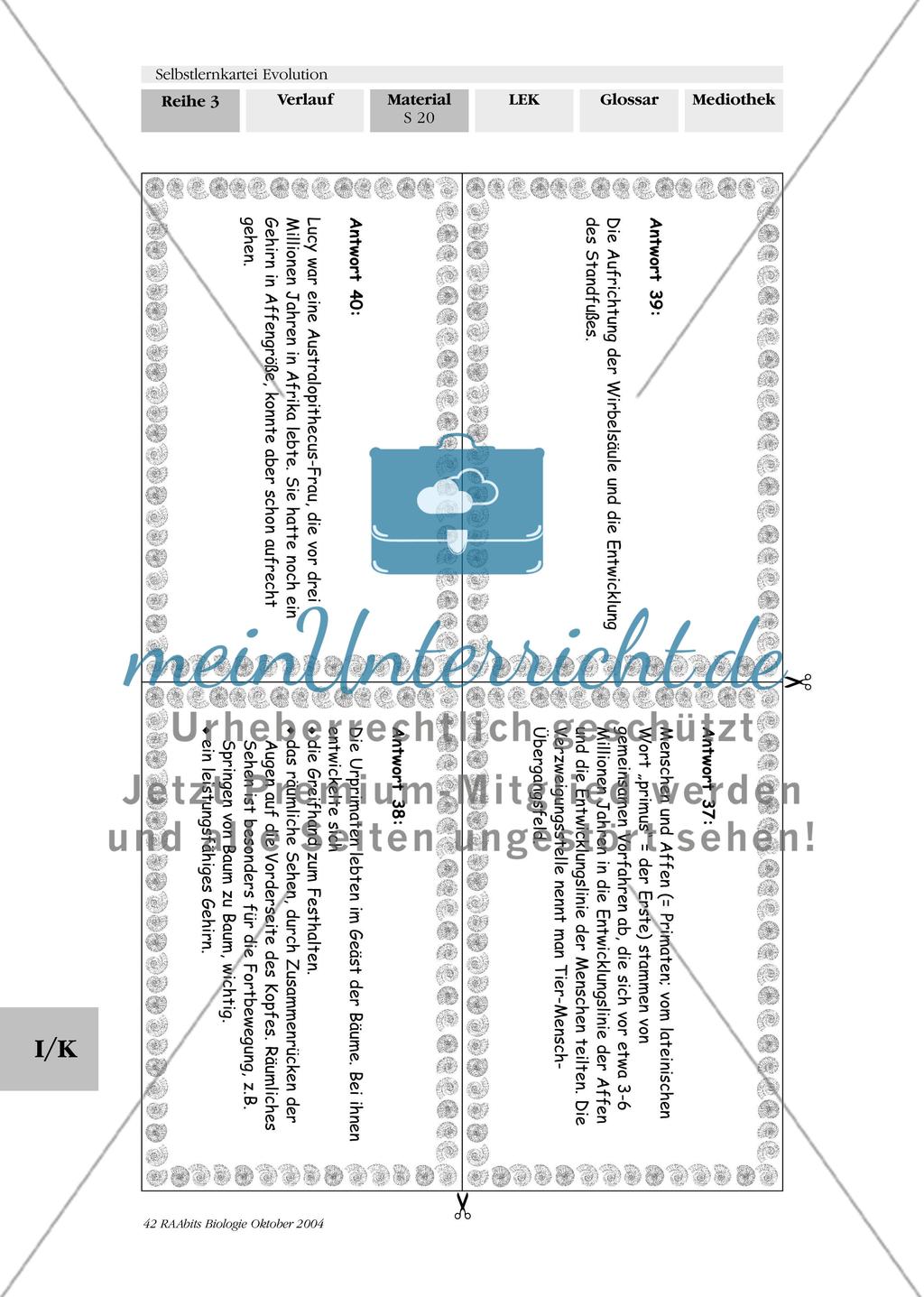 Selbstlernkartei Evolution Preview 24