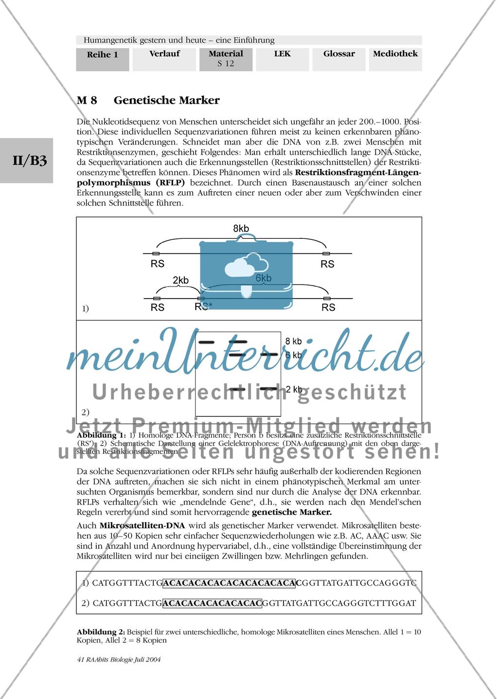 Methoden der Humangenetik: molekularbiologische Methoden Preview 2