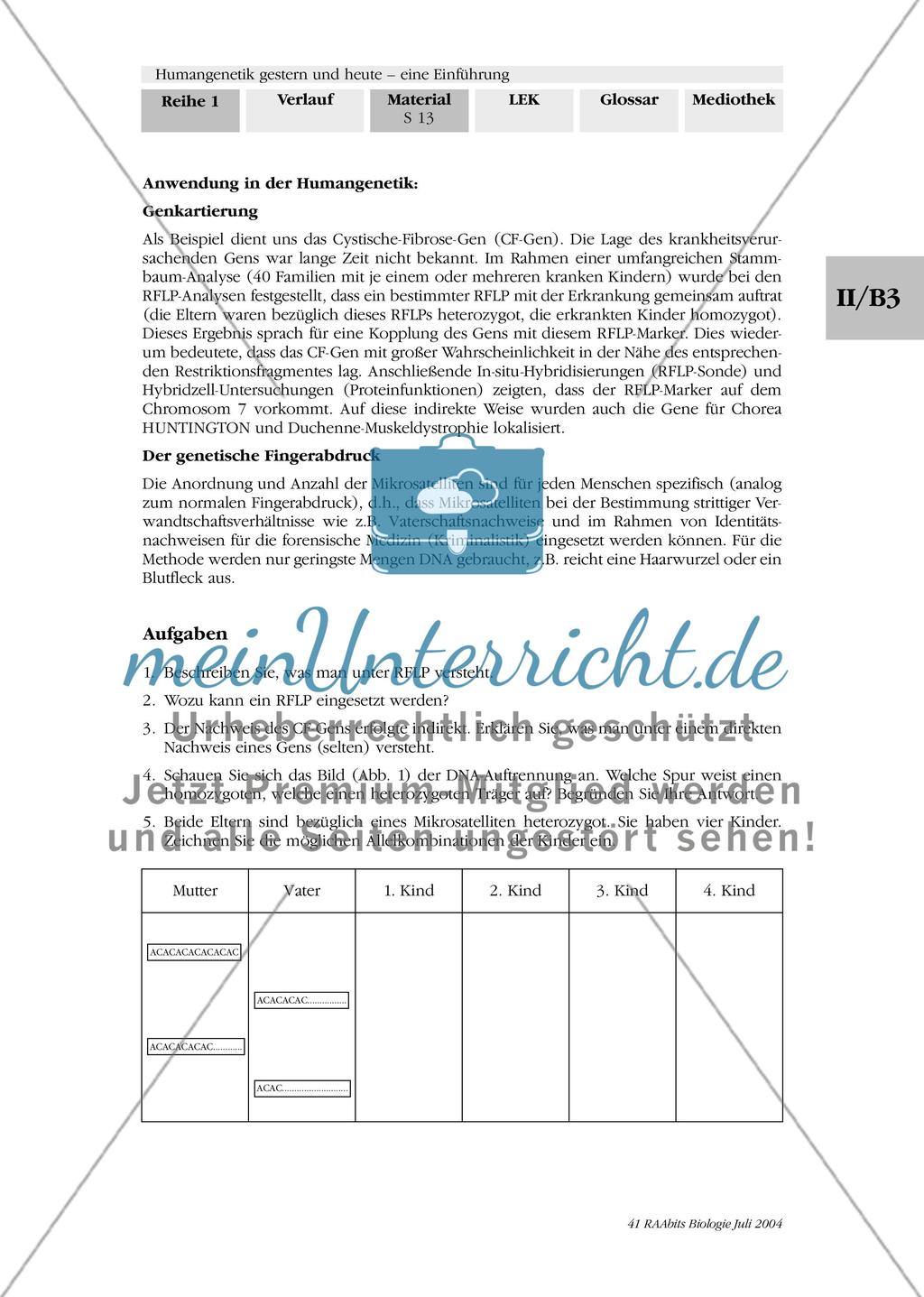 Methoden der Humangenetik: molekularbiologische Methoden Preview 3