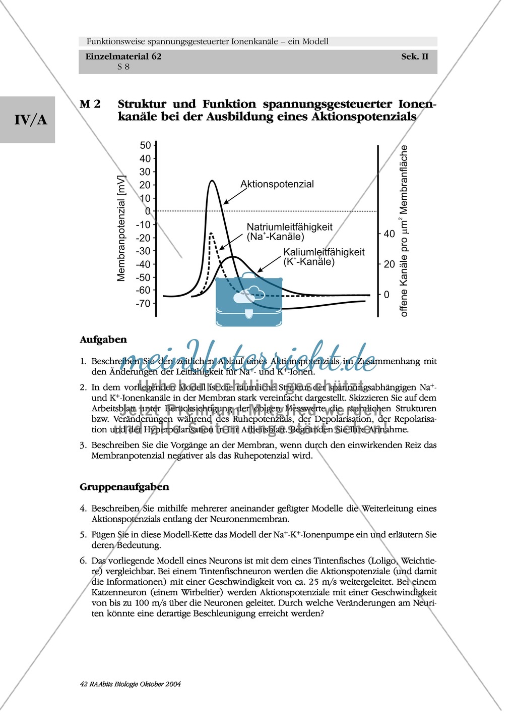 Struktur und Funktion spannungsgesteuerter Ionenkanäle bei der Ausbildung eines Aktionspotenzials in Einzel- und Gruppenarbeit beschreiben Preview 1