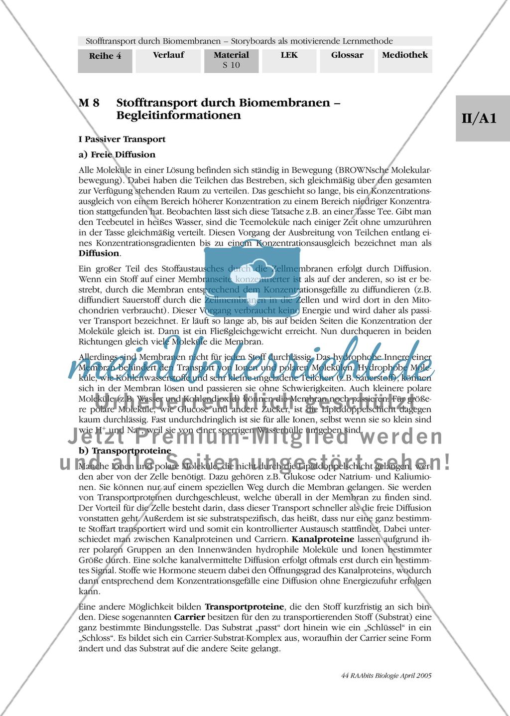 Stofftransport durch Biomembranen – ein Storyboard Preview 3
