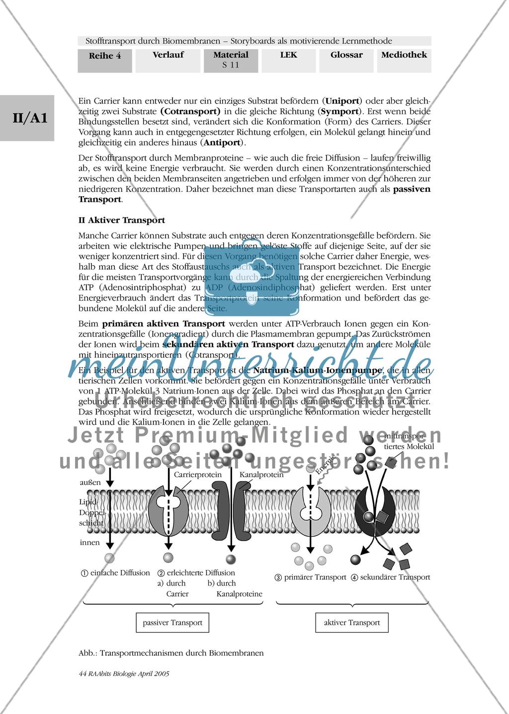 Stofftransport durch Biomembranen – ein Storyboard Preview 4