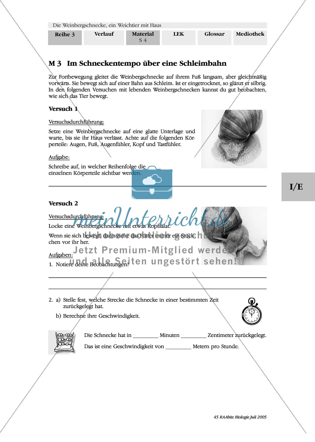 Fortbewegung der Weinbergschnecke: Versuch Preview 1