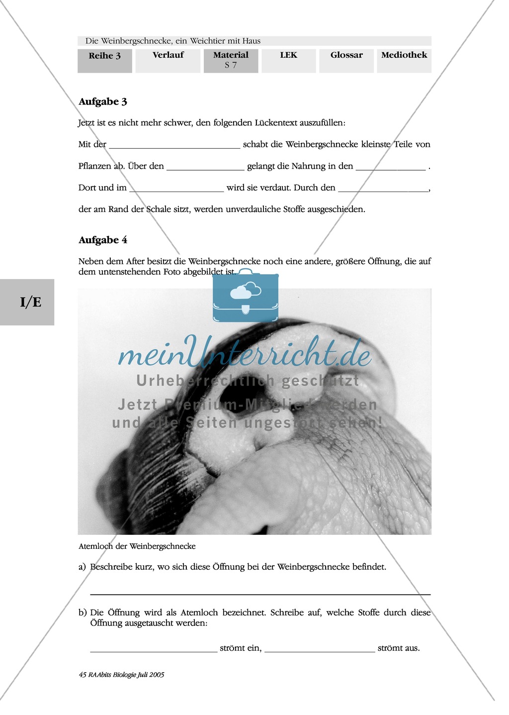 Nahrungsaufnahme und Atmung bei der Weinbergschnecke: Beschriften, Lückentext Preview 2