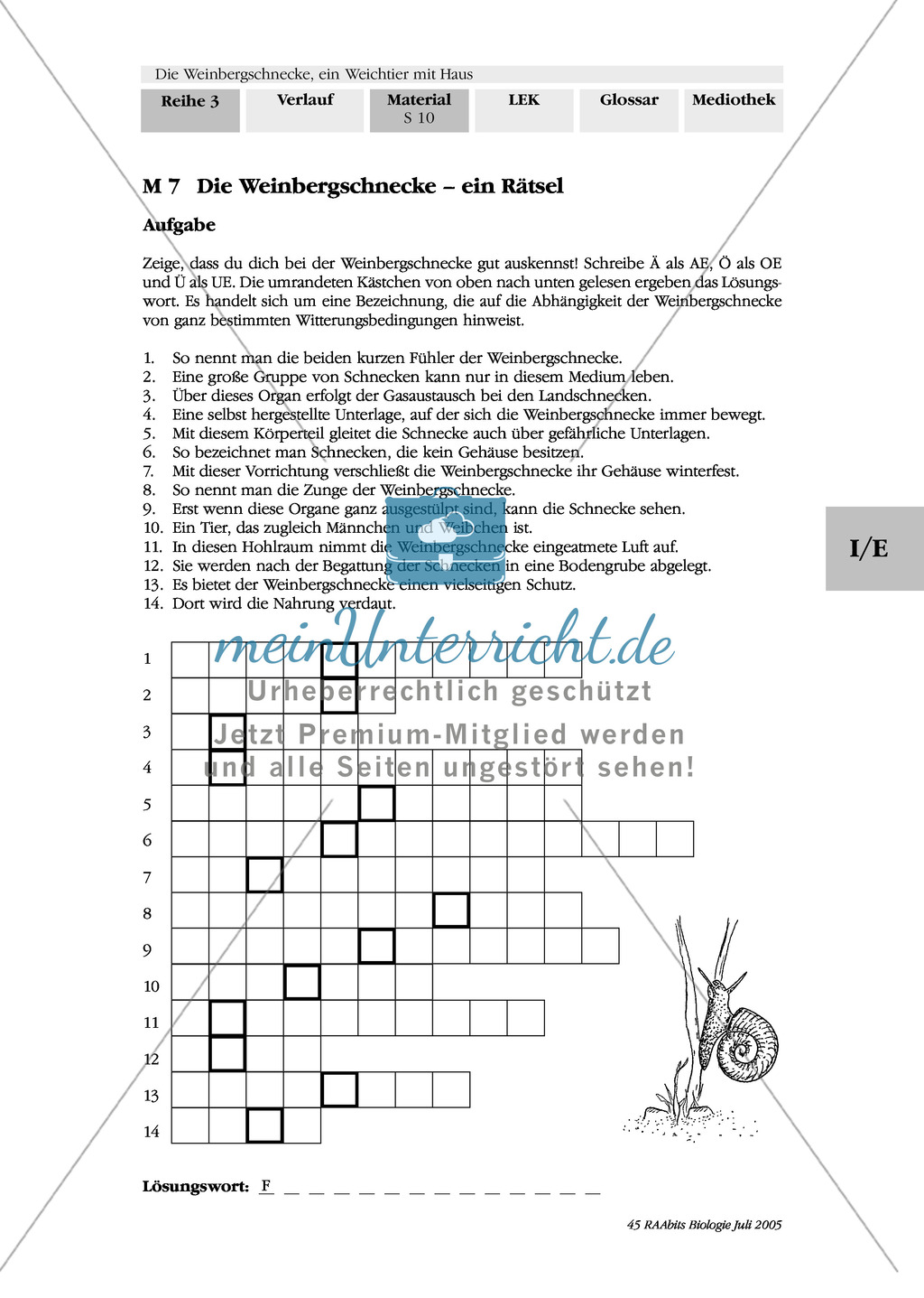 Weinbergschnecke: Rätsel Preview 1