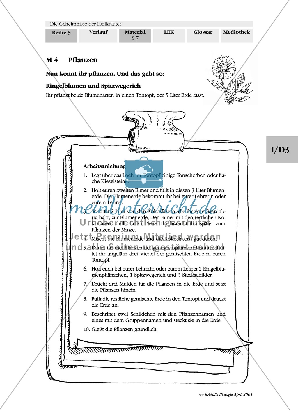 Säen und Pflanzen von Heilkräutern: Besorgungsliste, Gruppenarbeit, Kapuzinerkresse, Ringelblume, Spitzwegerich, Minze, Borretsch Preview 3