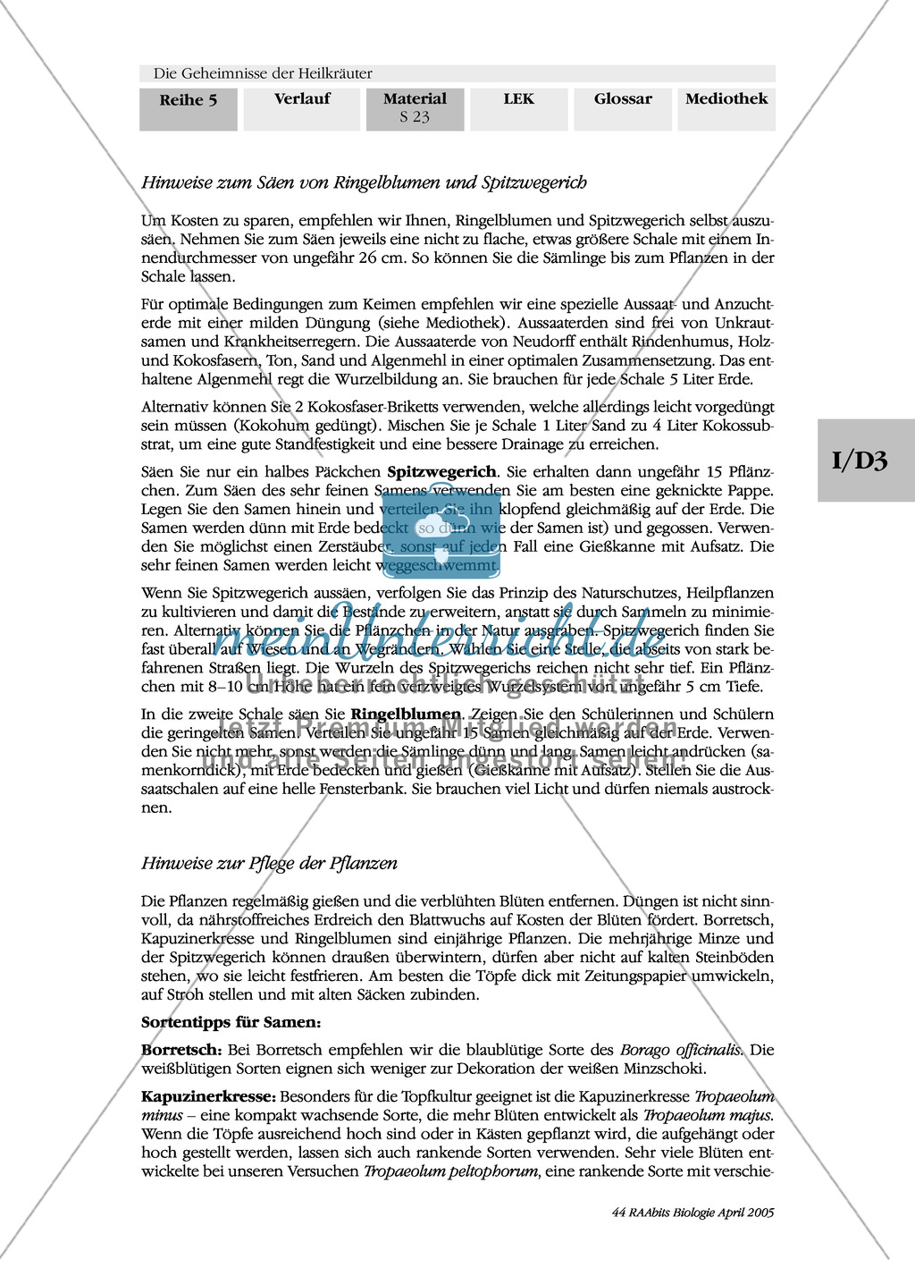 Säen und Pflanzen von Heilkräutern: Besorgungsliste, Gruppenarbeit, Kapuzinerkresse, Ringelblume, Spitzwegerich, Minze, Borretsch Preview 7