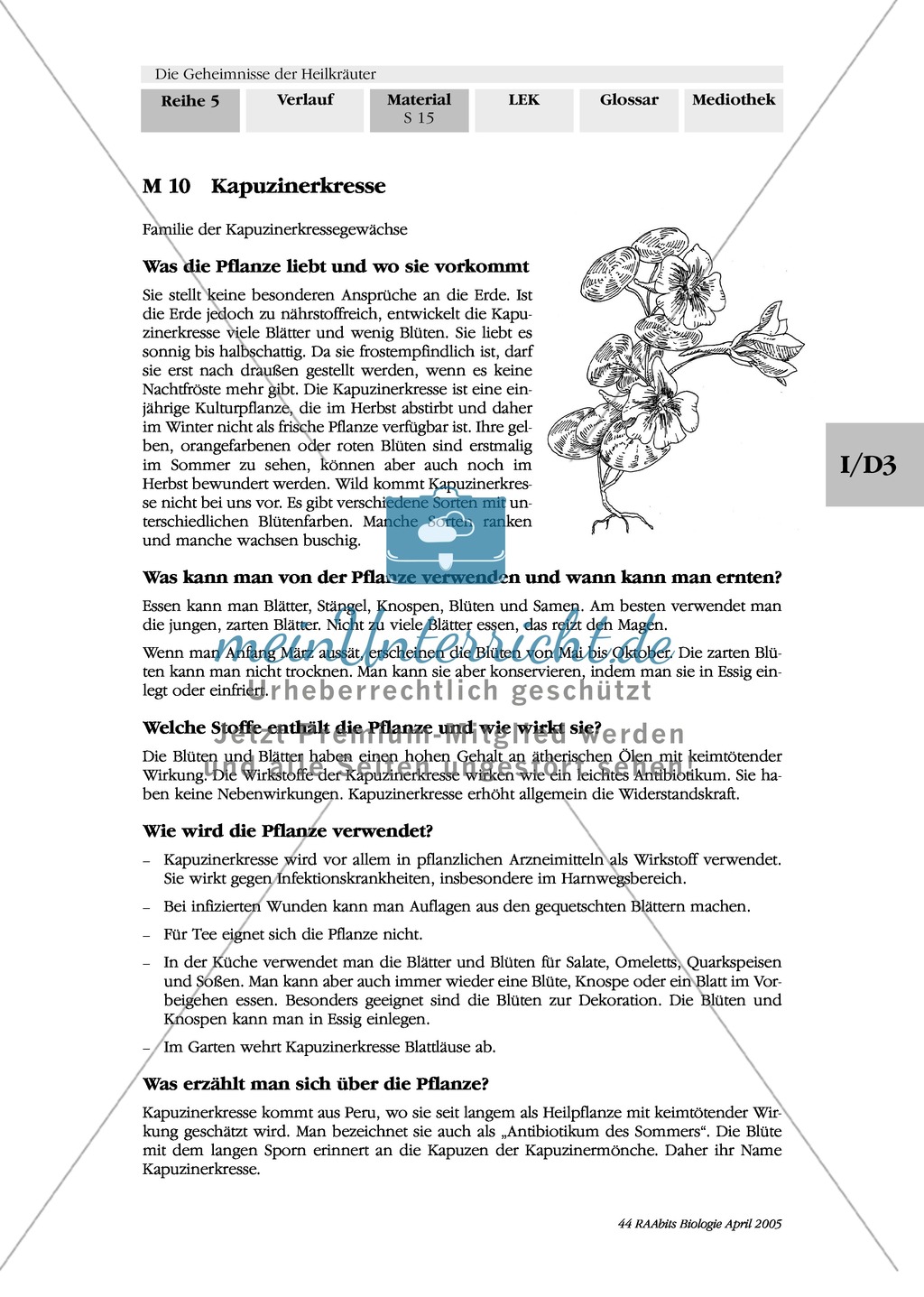 Heilpflanzenportraits: Gruppenarbeit, Texte, Ringelblume, Spitzwegerich, Kapuzinerkresse, Minze, Borretsch Preview 2
