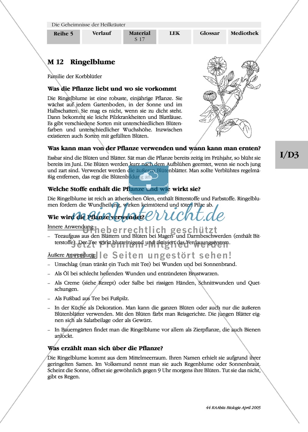Heilpflanzenportraits: Gruppenarbeit, Texte, Ringelblume, Spitzwegerich, Kapuzinerkresse, Minze, Borretsch Preview 4