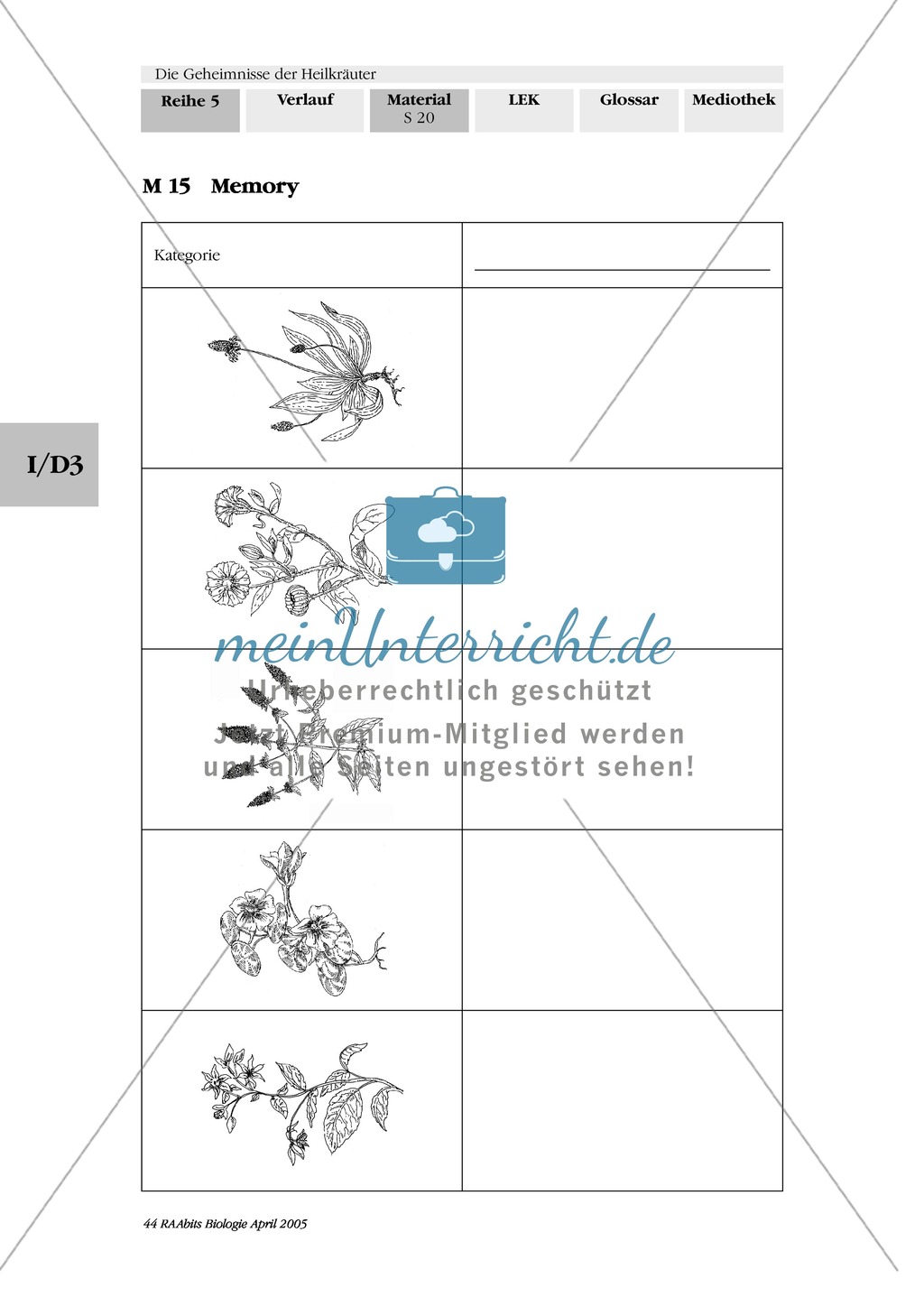 Memoryspiel Heilkräuter: Gruppenarbeit, Ringelblume, Spitzwegerich, Kapuzinerkresse, Minze, Borretsch Preview 1