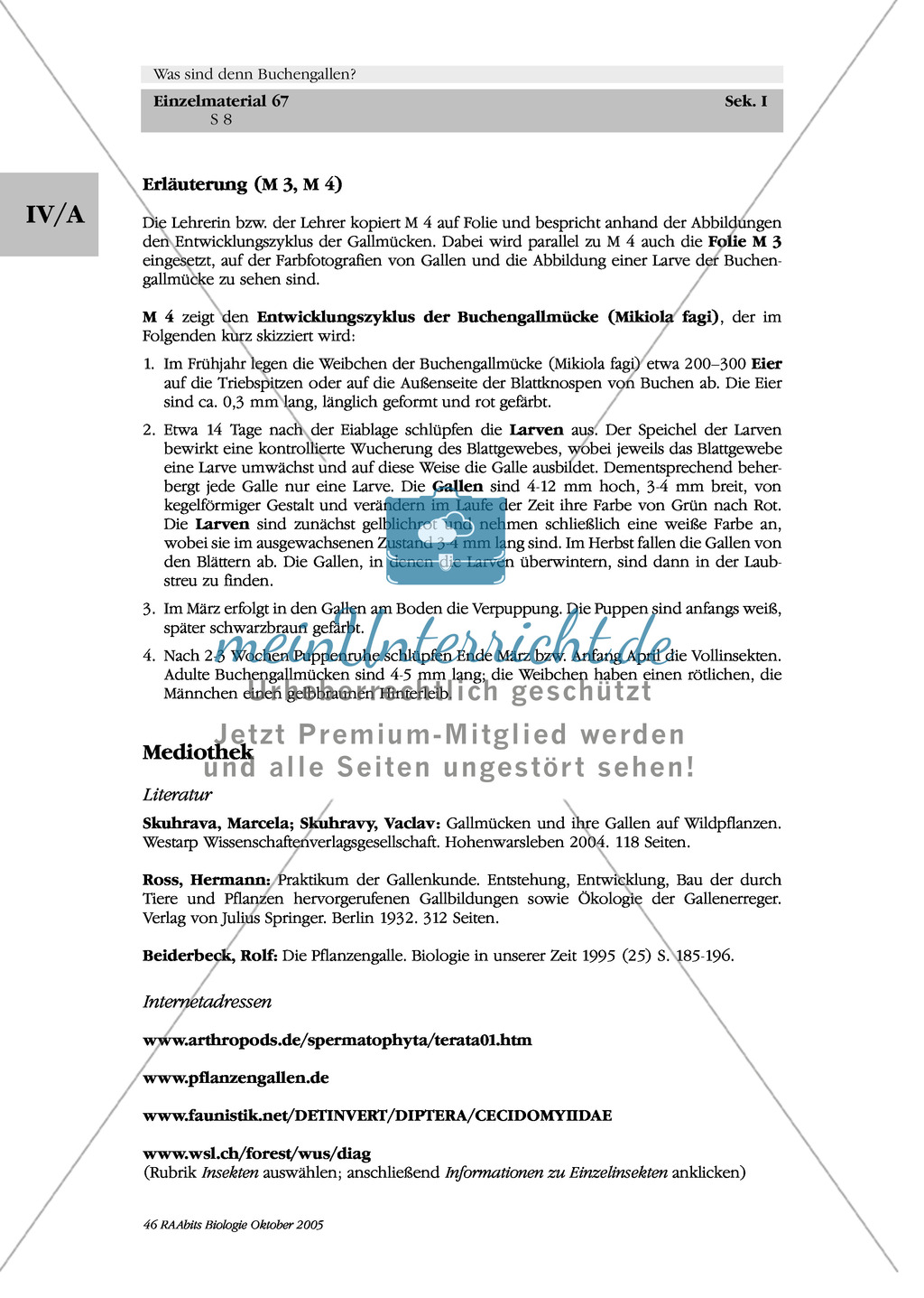 Buchengallen: Die Entwicklung der Buchengallmücke Preview 4