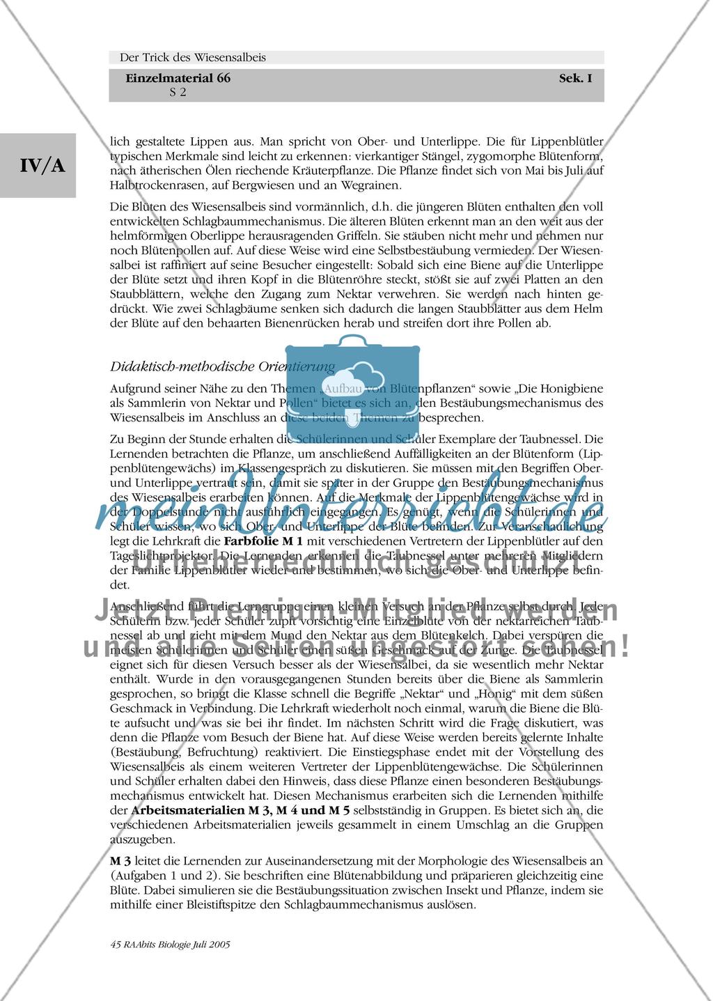 Der Trick des Wiesensalbeis Preview 2