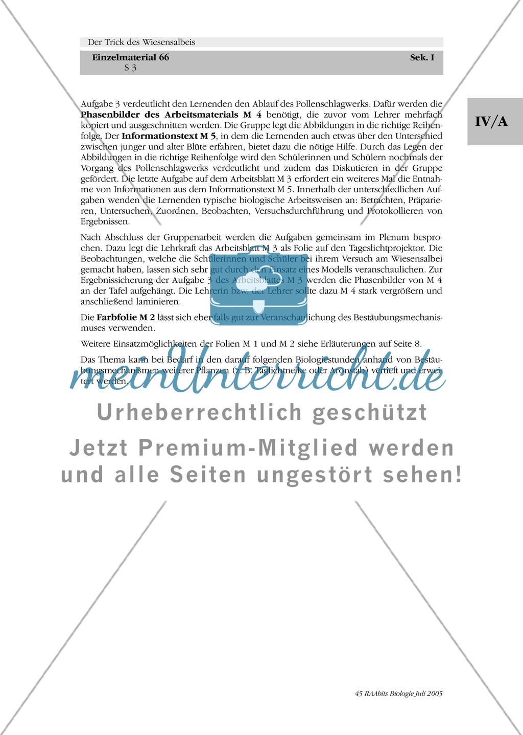 Der Trick des Wiesensalbeis Preview 3