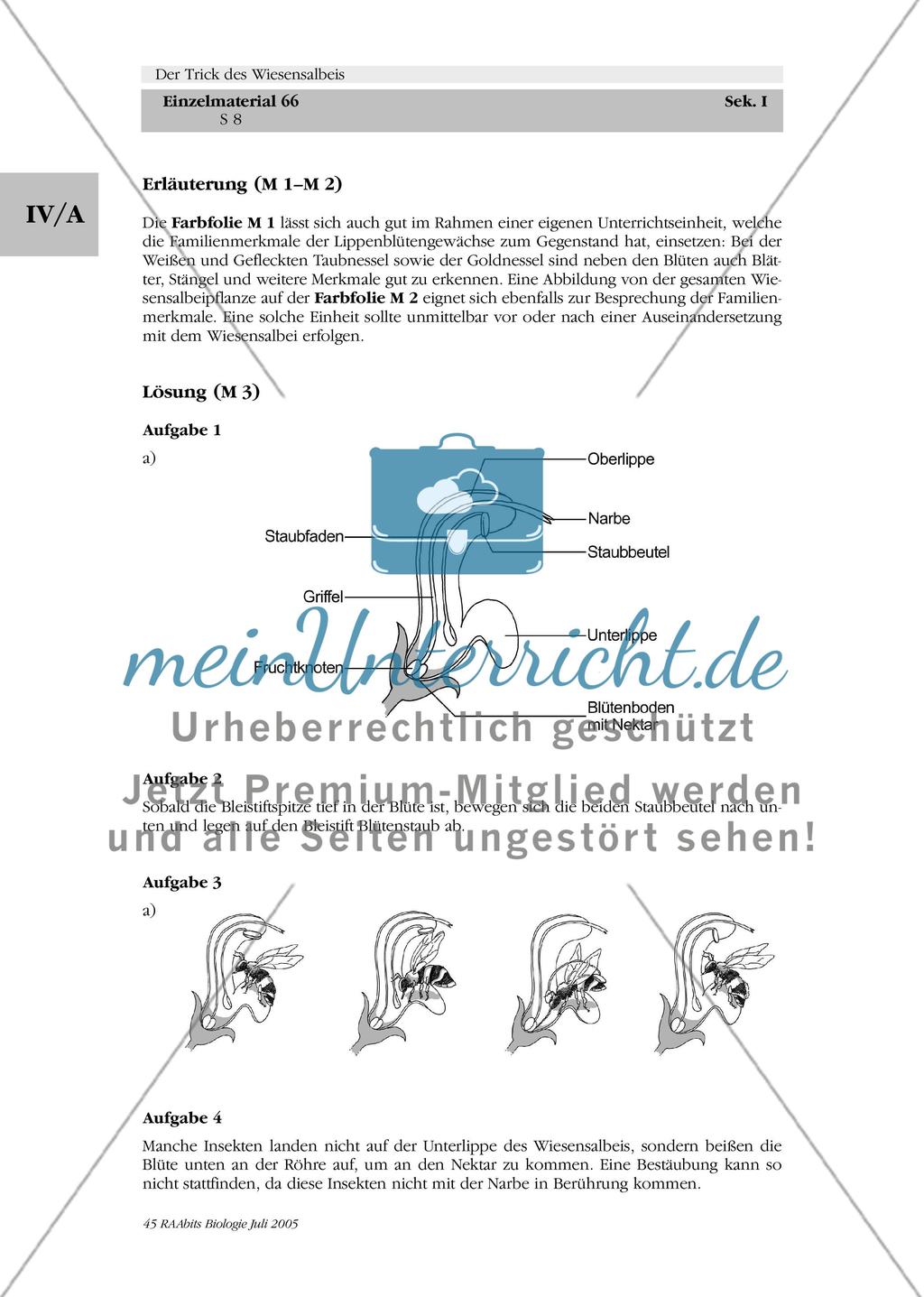 Der Trick des Wiesensalbeis Preview 8