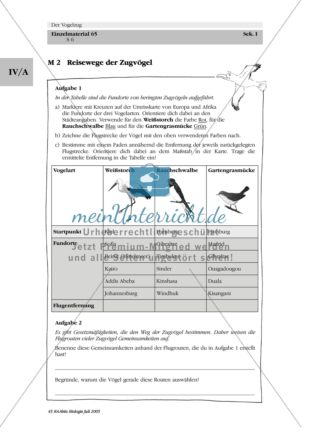 Reisewege der Zugvögel: Weißstorch, Rauchschwalbe, Gartengrasmücke Preview 1