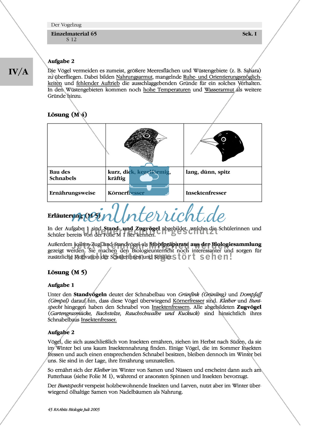 Reisewege der Zugvögel: Weißstorch, Rauchschwalbe, Gartengrasmücke Preview 3