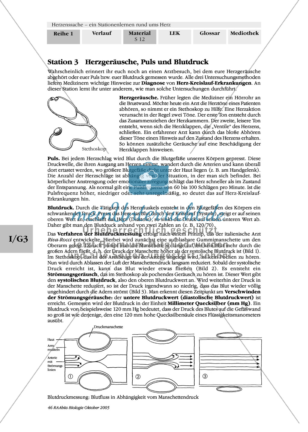 Herzgeräusche, Puls und Blutdruck; Text, Versuch Preview 2