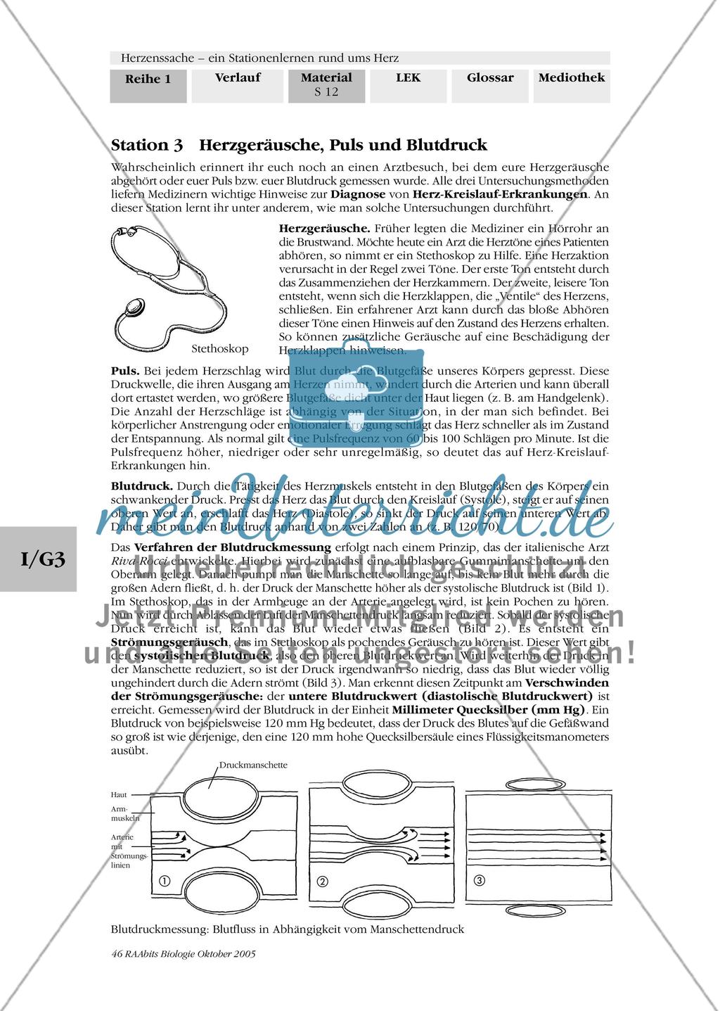 Station 3: Herzgeräusche, Puls und Blutdruck Preview 1
