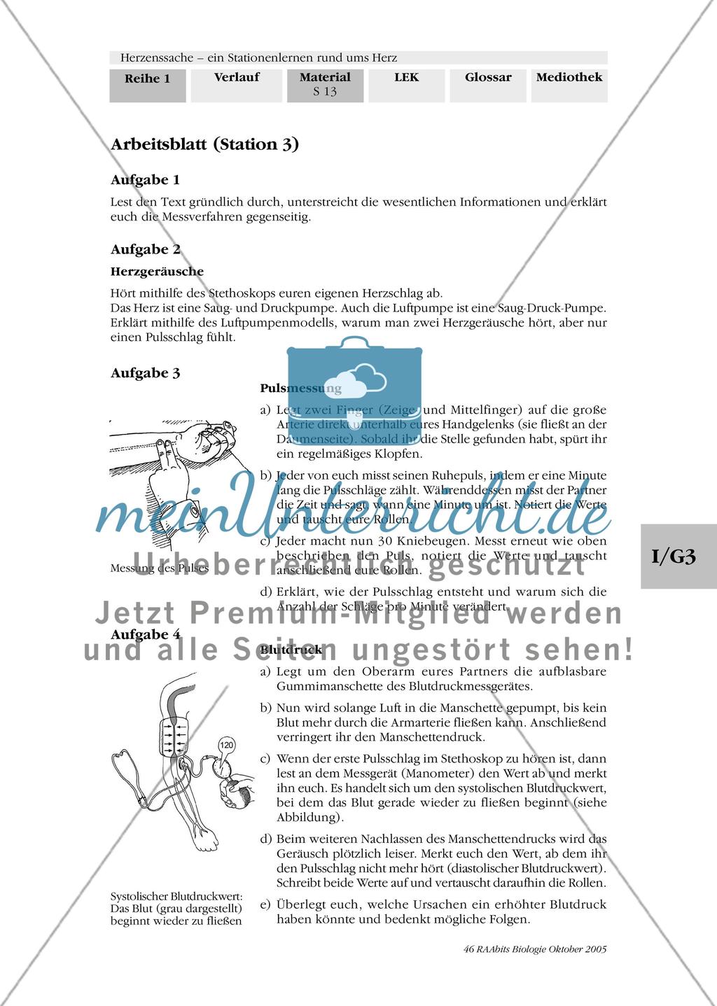Station 3: Herzgeräusche, Puls und Blutdruck Preview 2