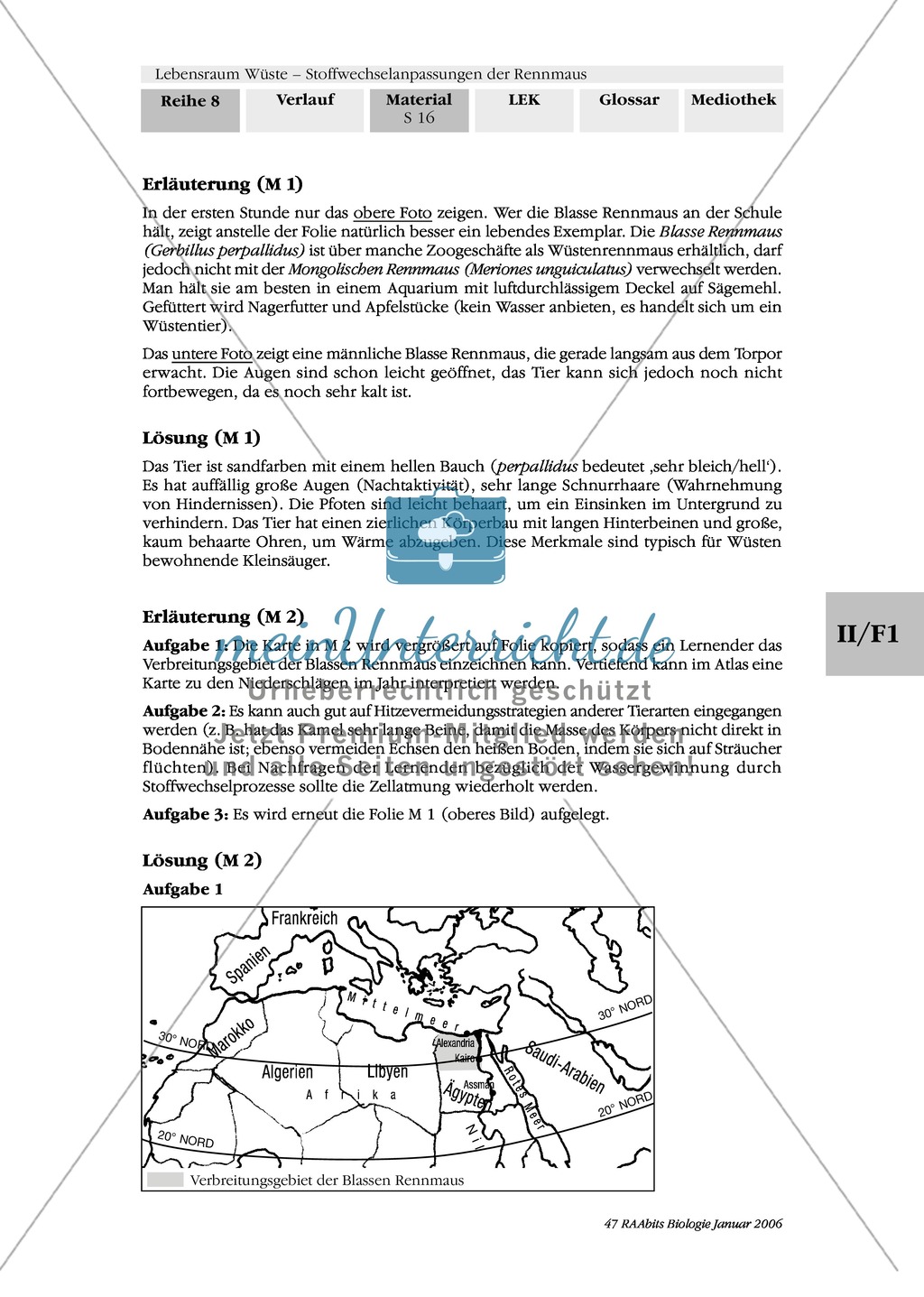 Die Anpassung der Blassen Rennmaus an ihren Lebensraum kennenlernen Preview 4