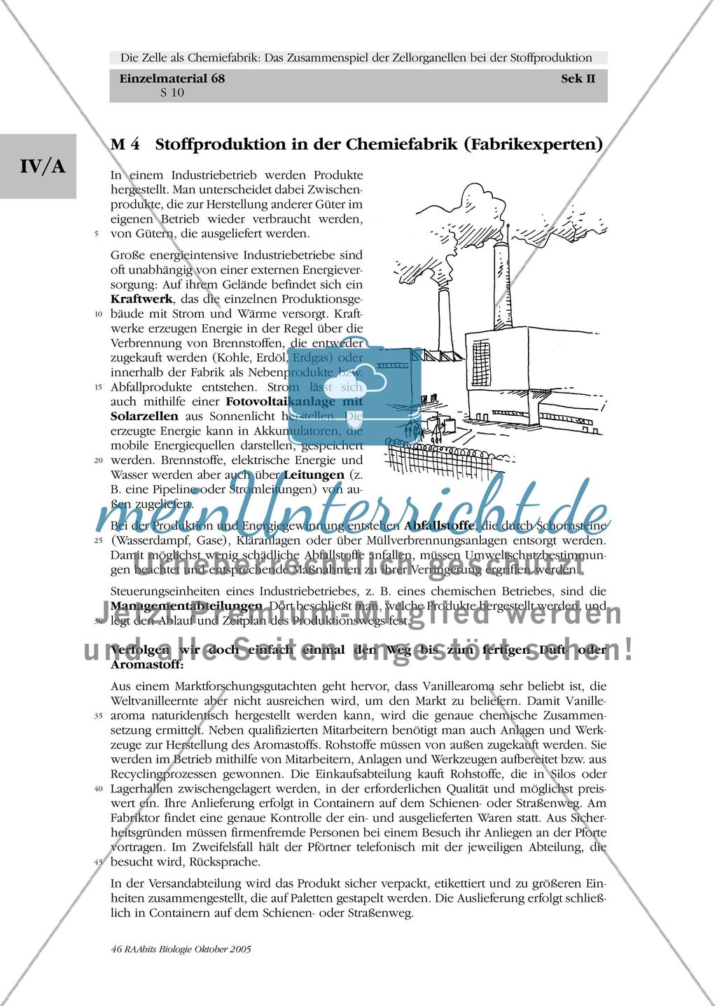Die Zelle als Chemiefabrik: Das Zusammenspiel der Zellorganellen bei der Stoffproduktion Preview 10