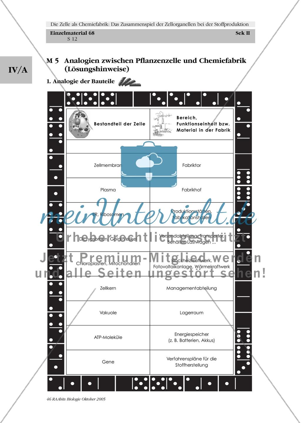 Die Zelle als Chemiefabrik: Das Zusammenspiel der Zellorganellen bei der Stoffproduktion Preview 12