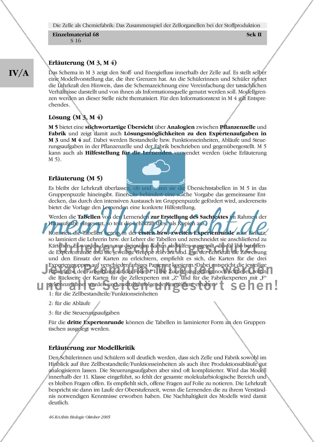 Die Zelle als Chemiefabrik: Das Zusammenspiel der Zellorganellen bei der Stoffproduktion Preview 16