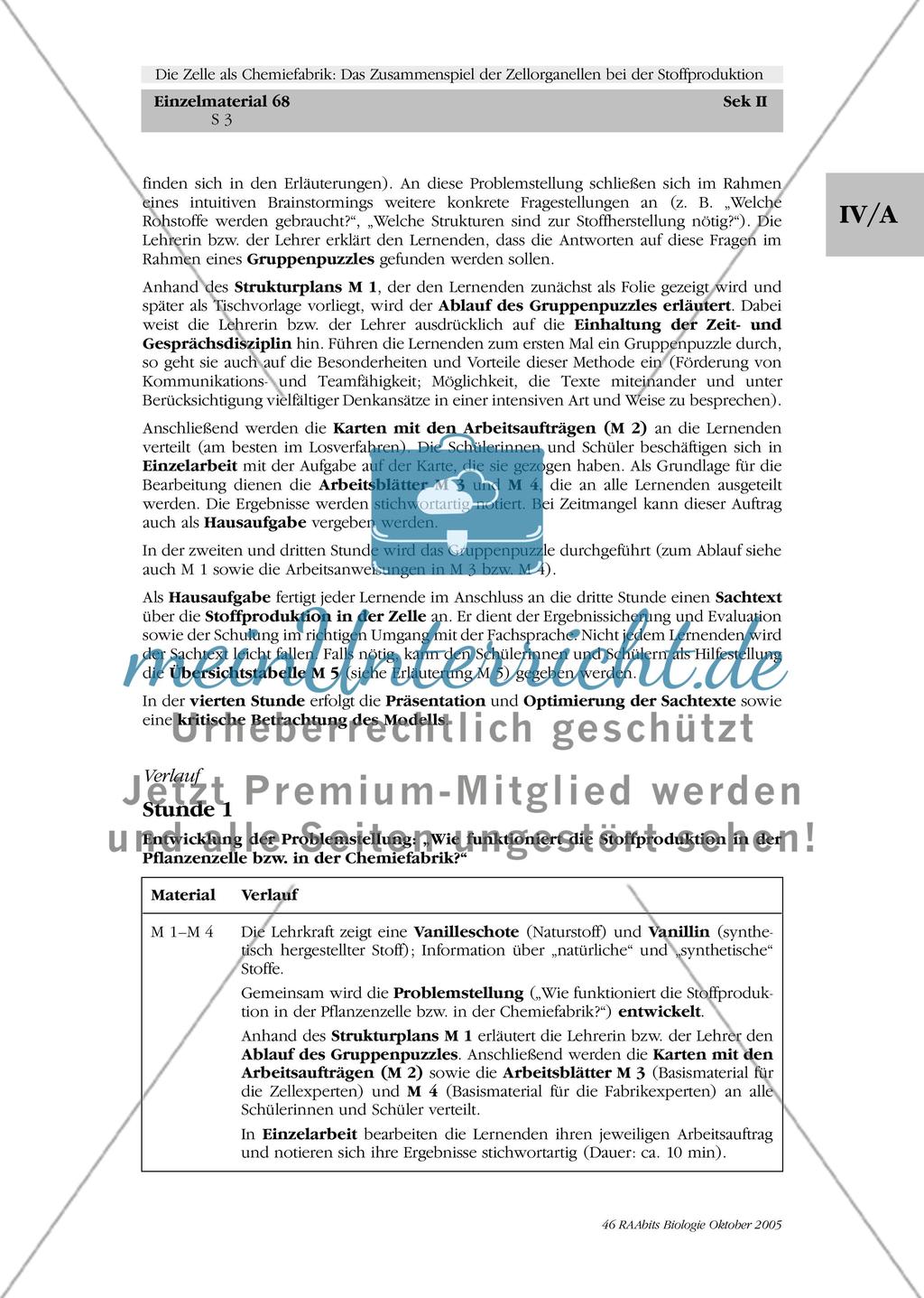 Die Zelle als Chemiefabrik: Das Zusammenspiel der Zellorganellen bei der Stoffproduktion Preview 3