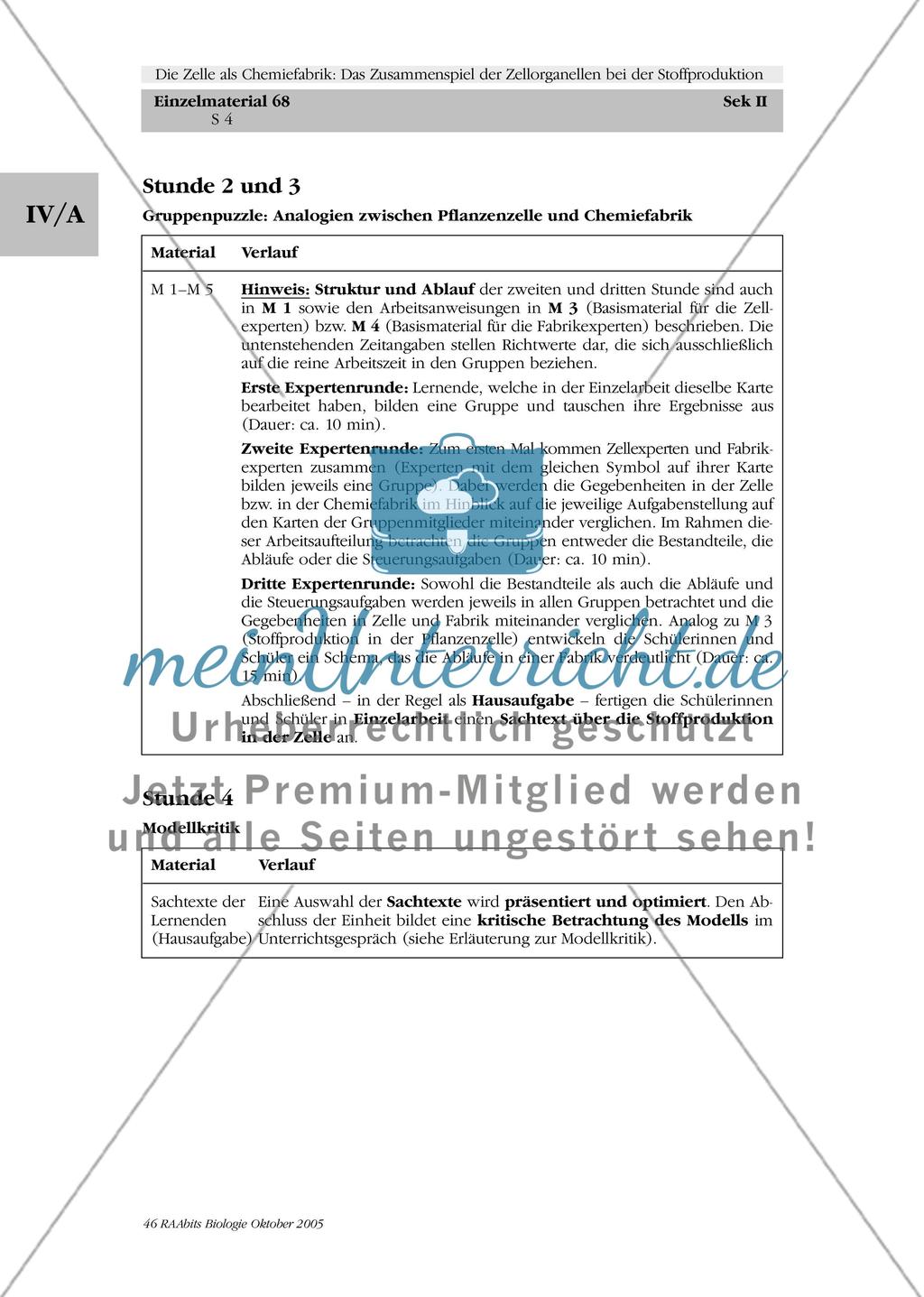 Die Zelle als Chemiefabrik: Das Zusammenspiel der Zellorganellen bei der Stoffproduktion Preview 4