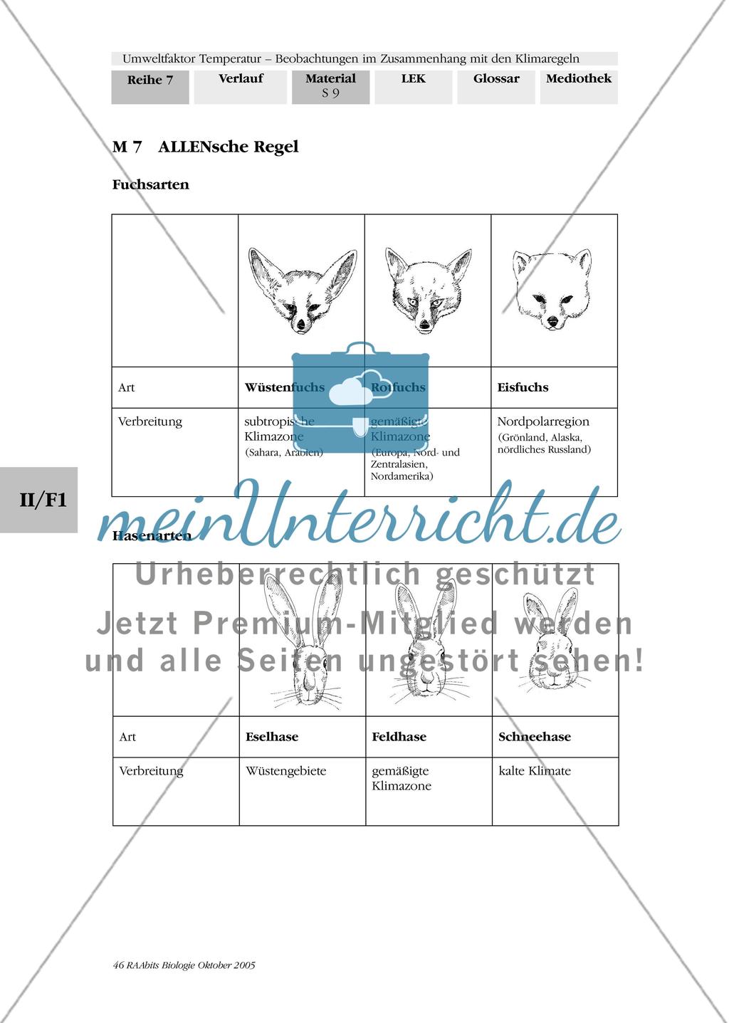 Umweltfaktor Temperatur - Beobachtungen im Zusammenhang mit den Klimaregeln Preview 12