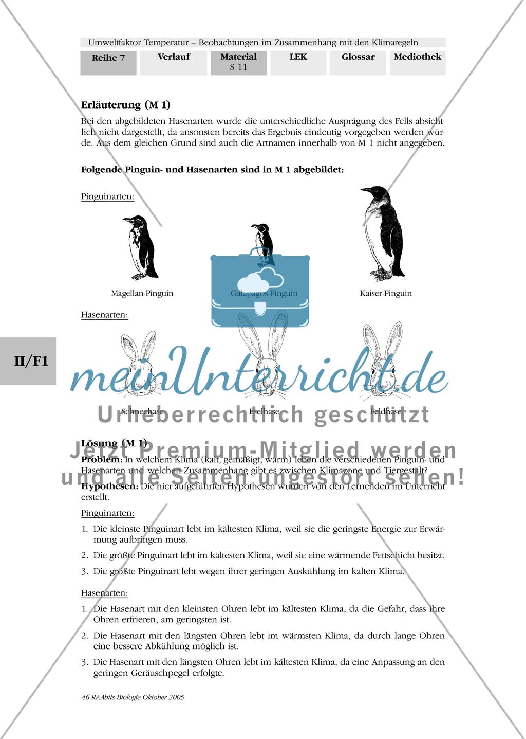 Umweltfaktor Temperatur - Beobachtungen im Zusammenhang mit den Klimaregeln Preview 14