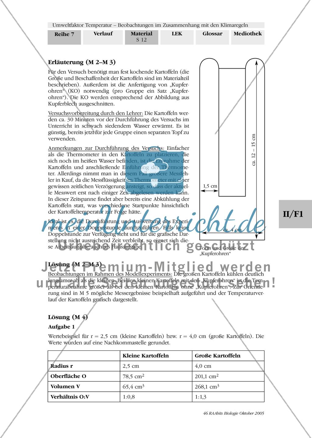 Umweltfaktor Temperatur - Beobachtungen im Zusammenhang mit den Klimaregeln Preview 15