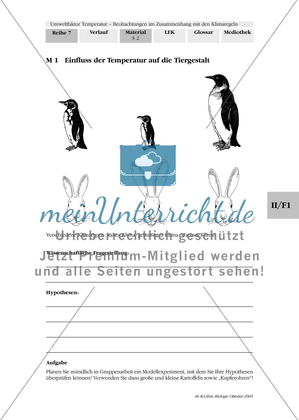 Umweltfaktor Temperatur - Beobachtungen im Zusammenhang mit den Klimaregeln Preview 5