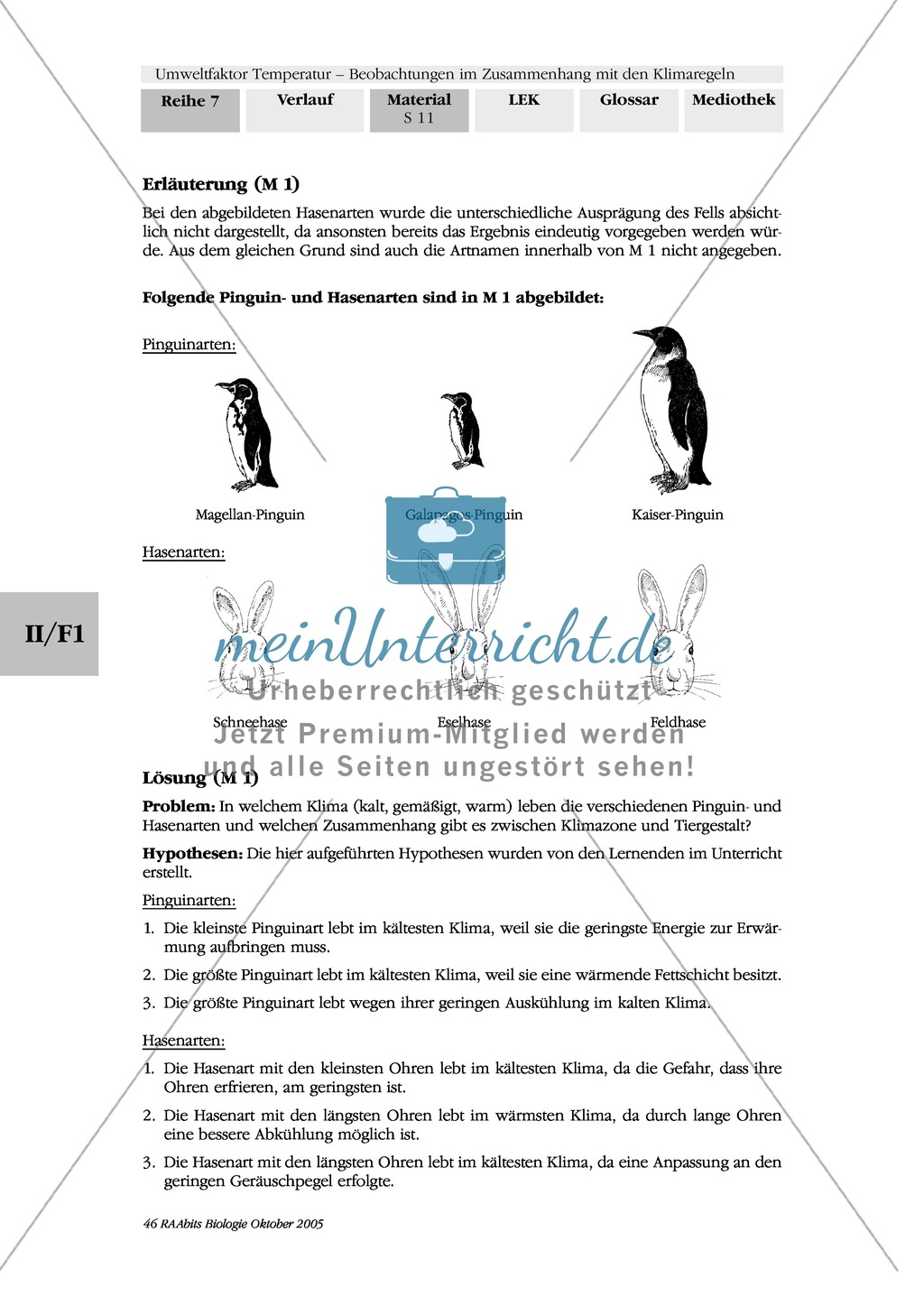 Einfluss der Temperatur auf die Tiergestalt: Bildervergleich Preview 2