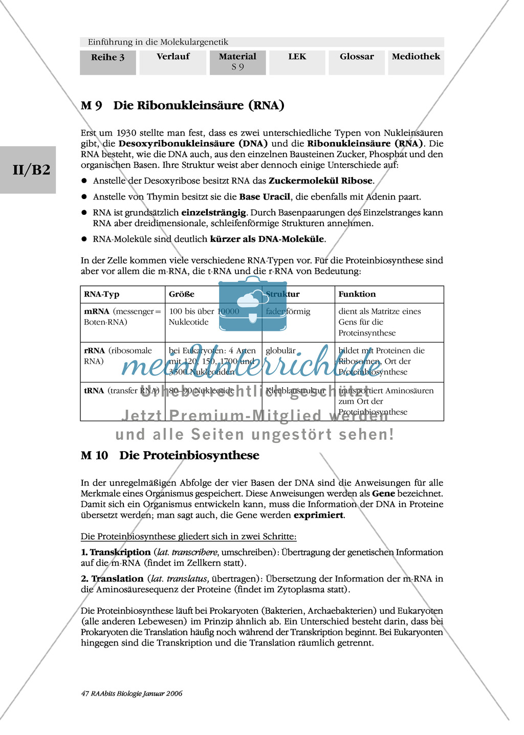 Die Proteinbiosynthese - RNA, genetischer Code, Transkription und Translation Preview 1