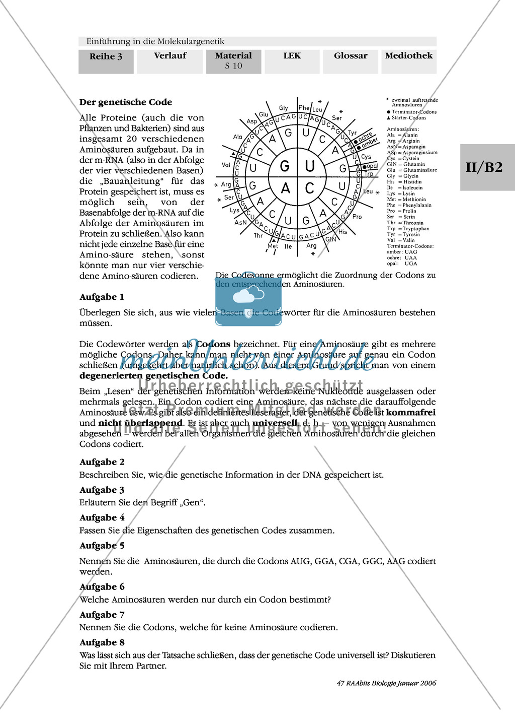 Die Proteinbiosynthese - RNA, genetischer Code, Transkription und Translation Preview 2