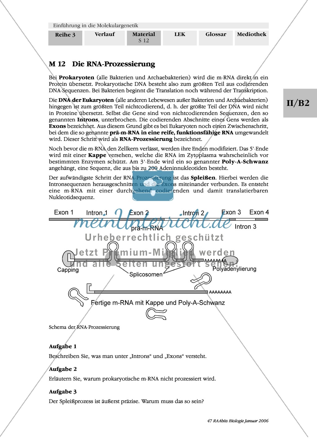 Die Proteinbiosynthese - RNA, genetischer Code, Transkription und Translation Preview 4