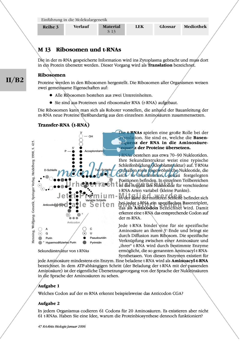 Die Proteinbiosynthese - RNA, genetischer Code, Transkription und Translation Preview 5