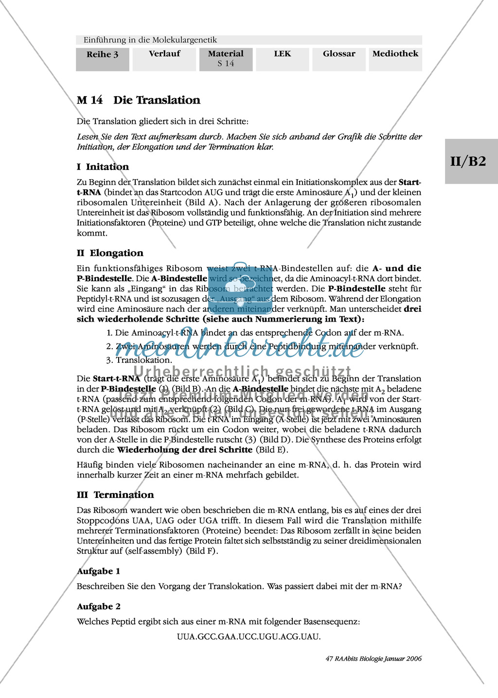 Die Proteinbiosynthese - RNA, genetischer Code, Transkription und Translation Preview 6